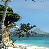 El Paradiso Design Protective Skin Decal Sticker for Nokia C6-01 Cell Phone ....