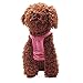 Binmer(TM)Pet Dog Clothes Puppy Flower Skirts Dress Crystal Bowknot Lace Floral Pet Princess Clothes (M)