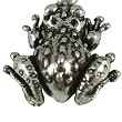 Pendant with Chain Frog in Sterling Silver Jewelry 1 inch