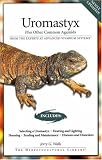 Uromastyx: Plus Other Common Agamids (Herpetocultural Library)