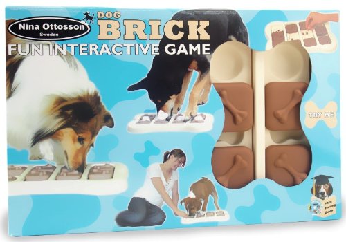 Company of Animals Nina Ottosson Dog Brick Interactive Game