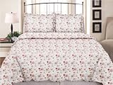 Textiles Plus, Inc. 100-Percent Cotton King mini Quilt Set, Antique Rose