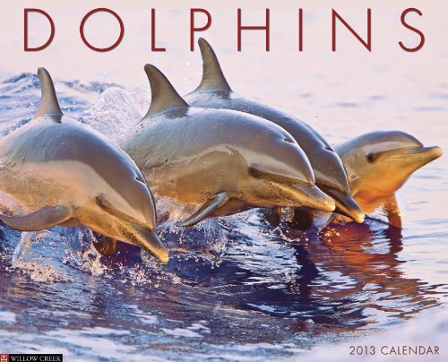 dolphins 2013 wall calendar