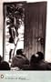 A Grain of Wheat (Penguin Modern Classics)