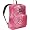 Pink Prep/Coral Sparkle Flashback Zebra