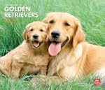 Golden Retrievers, For The Love Of 20...