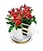 Poinsettia Flower Pot Cake