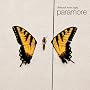 Brand New Eyes
