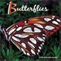 Butterflies 2008 Wall Calendar