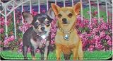 Chihuahua Pair in the Garden Wallet and Checkbook Cover