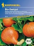 Eigenschaften Kiepenkerl - Gemüse-Saatgut  / Kürbis Uchiki Kuri Bio-Saatgut