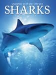 Sharks