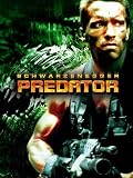 Predator
