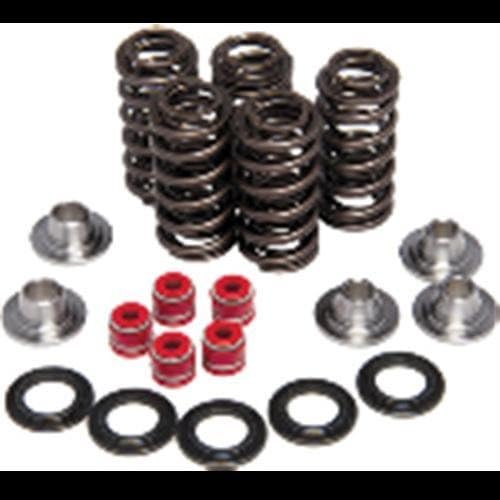 Kpmi 82-82160 valve spring kit pol 900 rzr xp 11 (82-82160)