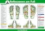 Reflexzonen der F��e (Tafel A2)