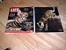 Life Magazine, February 23, 2007 issue-The Toyger-Half Tiger, Half Cat