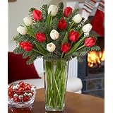 Flowers - Christmas Tulips