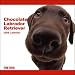 2009 Labrador Retriever Chocolate ARTLIST Square Wall Calendar (Artlist Collection the Dog)