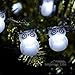Christmas Snow Owl LED String Lights By Impress Life® on 10ft Copper Wire 40 Cold White LEDs with Remote for Thanksgiving/Baby Shower/Outdoor/Indoor Parties Decorations