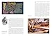 Aboriginal Art (World of Art)