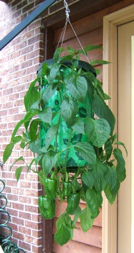 Topsy Turvy Topsy Turvy Upside Down Tomato Planter