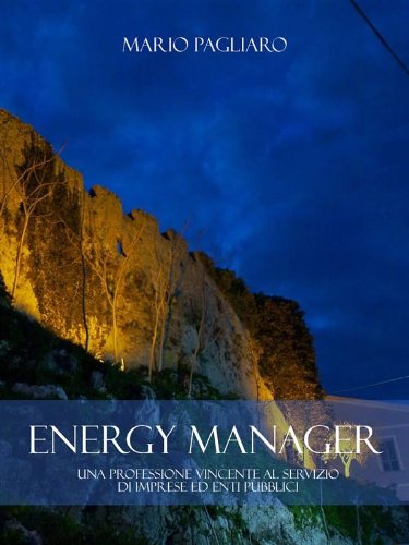 Energy manager: Una professione vincente al servizio di imprese ed enti pubblici (Italian Edition)