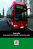 Fuel cells : understand the hazards, control the risks