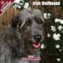 2009 Irish Wolfhound Wall Calendar