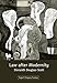 Law after Modernity (Legal Theory Today)