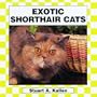 Exotic Shorthair Cats (Cats Set II)