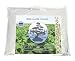 Buckwheat Pillow - Zen Chi 100% Organic Premium Buckwheat Pillow - King Size (20" X 36")
