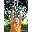 Spring Swings Twizzler Fun Ride