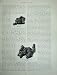 1886 Australia Gold Dawn Reef Mining Nugget Prospecting