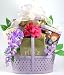 Survival Kit For The Christian Mom