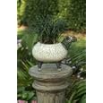 Bird Brain Animal Plant It Pot Sheep