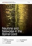 Neurons and networks in the spinal cord