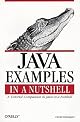 Java Examples in a Nutshell: A Tutorial Companion to Java in a Nutshell (In a Nutshell (O'Reilly))
