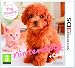 Nintendogs + Cats - Toy Poodle + New Friends (Nintendo 3DS)