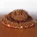 Webkinz Plush Stuffed Animal Tiger Snake