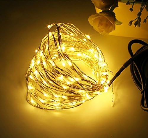 LED String Lights Copper Wire Lights, Waterproof Starry String Lights, Décor Rope Lights For Seasonal Decorative Christmas Holiday, Wedding, Parties (30 Leds 9.8 ft) (Warm White)