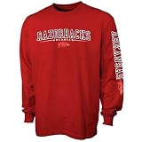 Arkansas Razorbacks Cardinal Standard Long Sleeve T-shirt