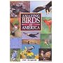 Amazing Birds of America