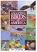 Amazing Birds of America