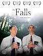 Falls [Import]