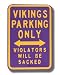 MINNESOTA VIKINGS 