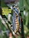 Handbook of Forage And Rangeland Insects