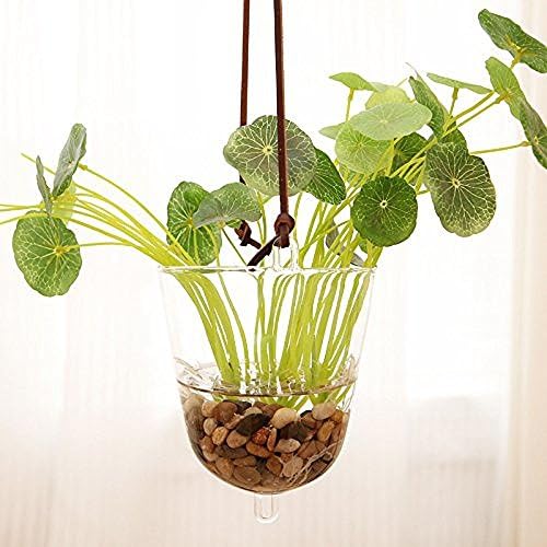 Family Together Hanging Glass Planter Vase Flower Plant Pot Container Terrarium Planter Home Decoration