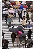 Canvas Prints of Pedestrians crossing a busy intersection with umbrellas from Robert Harding