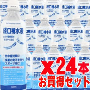 日本薬剤 経口補水液 500ml×24本【ケース販売】