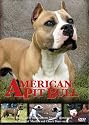 American Pit Bull